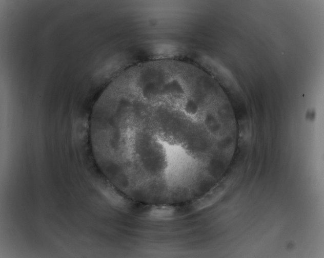 X0000101460369200807071436