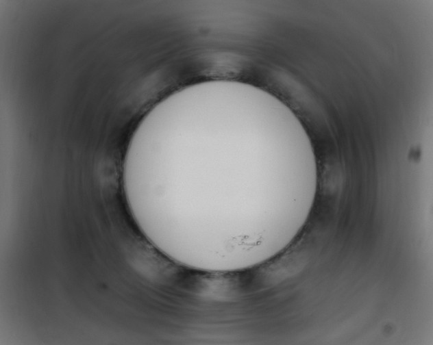 X0000101460370200807071436