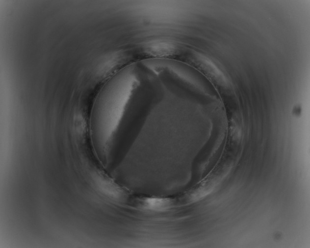 X0000101460371200807071436