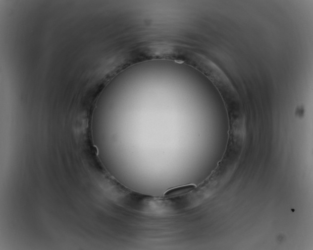 X0000101460372200807071436