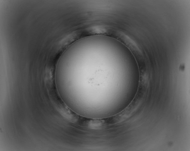 X0000101460373200807071436