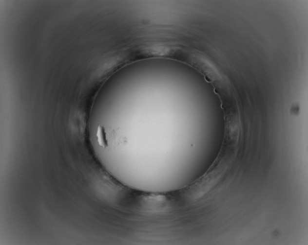 X0000101460374200807071436
