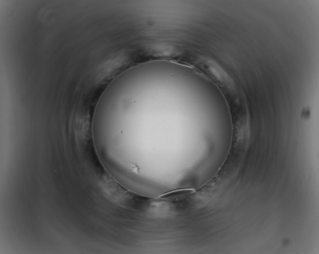 X0000101460376200807071436