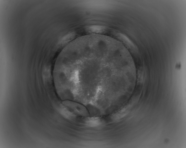 X0000101460377200807071436