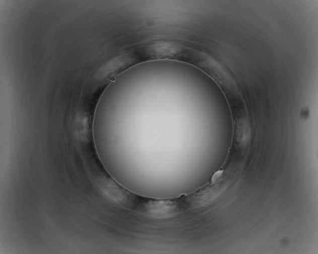 X0000101460378200807071436