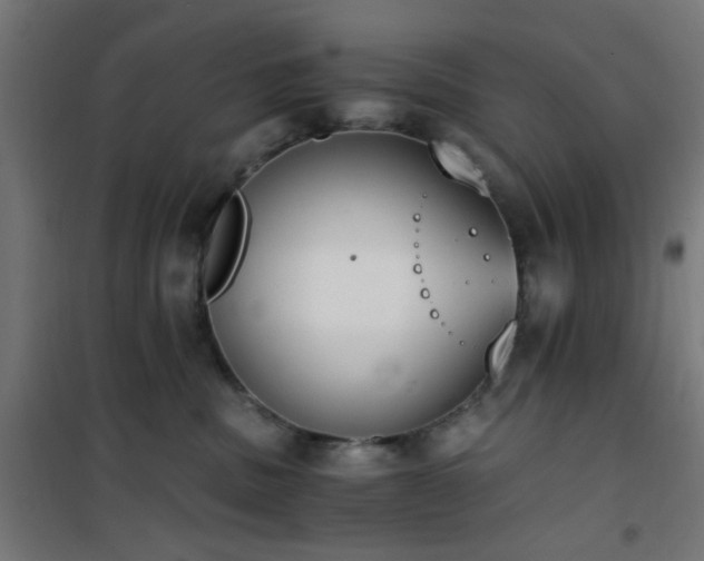 X0000101460379200807071436