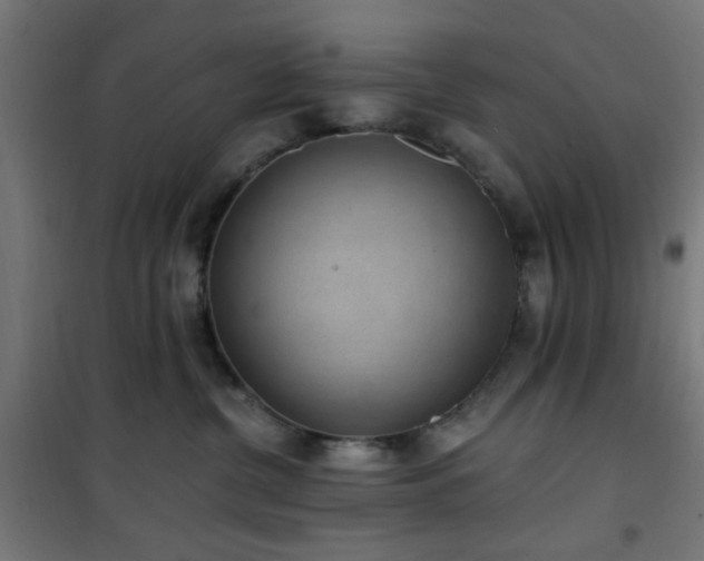 X0000101460380200807071436