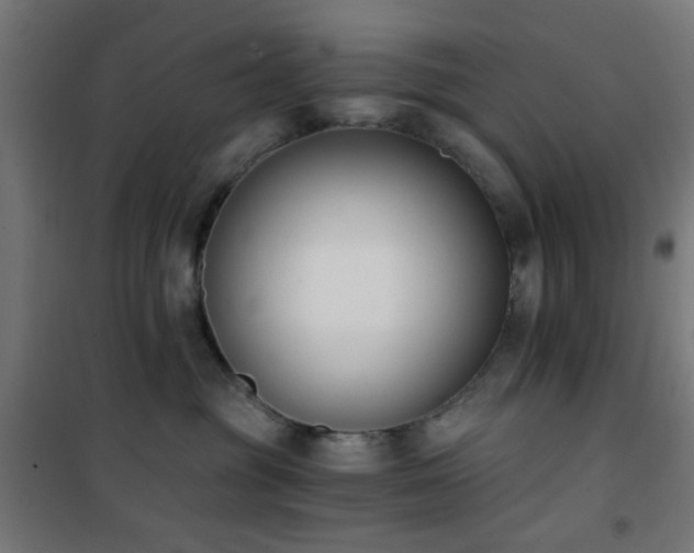 X0000101460381200807071436