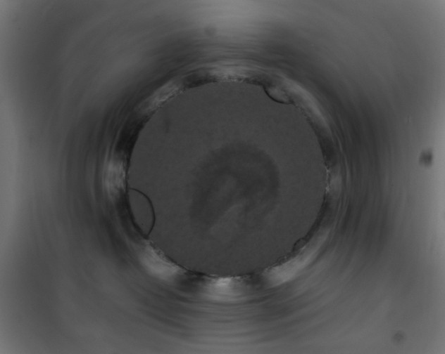 X0000101460382200807071436