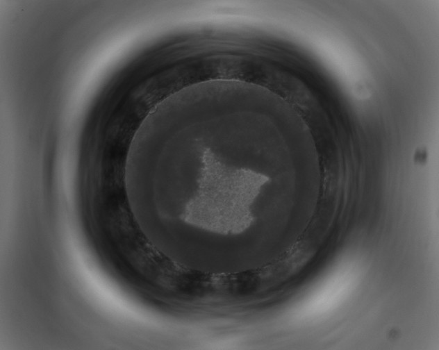 X0000101460383200807071436