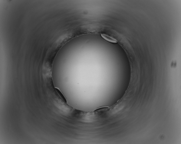 X0000101460384200807071436