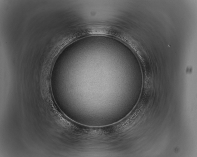 X0000101460385200807071436