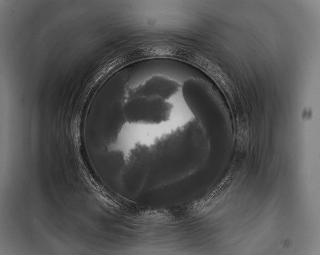 X0000101460386200807071436