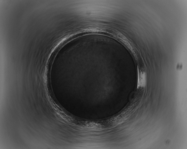 X0000101460387200807071436