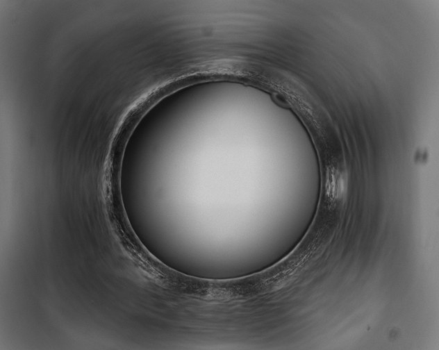 X0000101460388200807071436