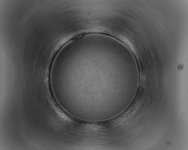 X0000101460389200807071436