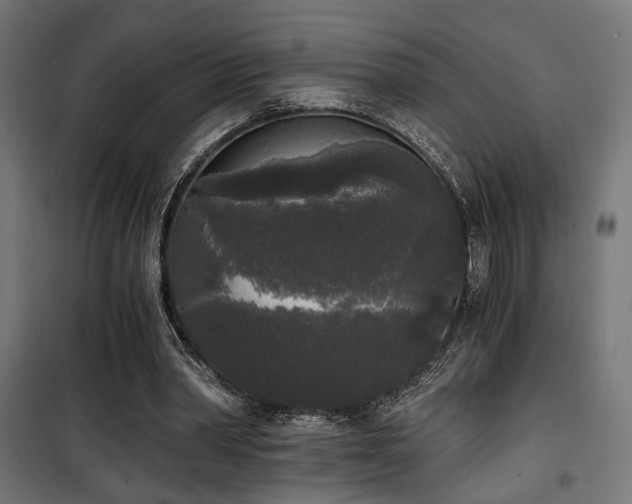 X0000101460390200807071436