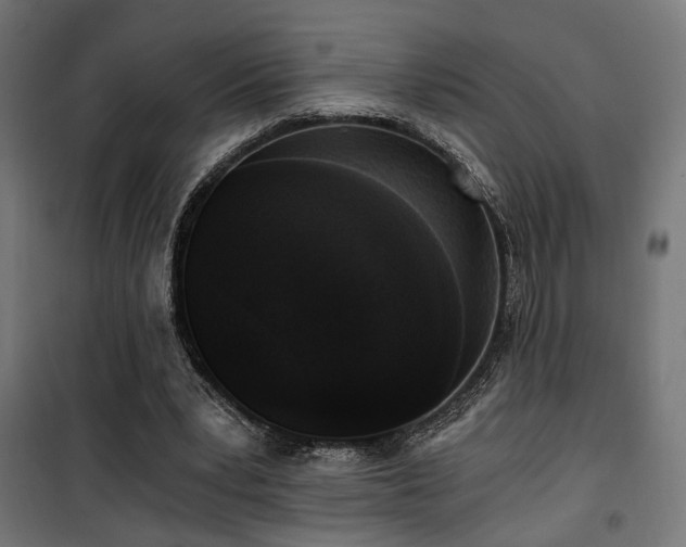 X0000101460391200807071436