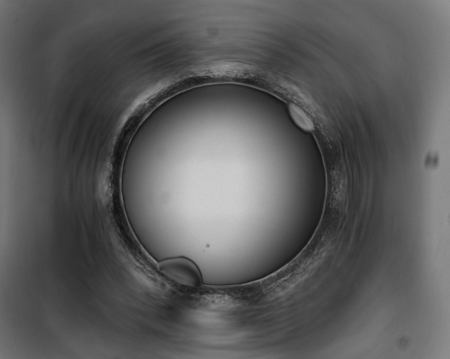 X0000101460392200807071436
