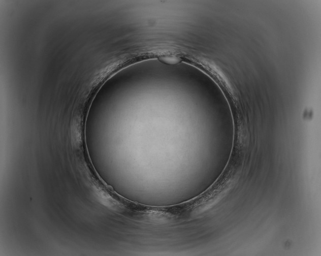 X0000101460393200807071436