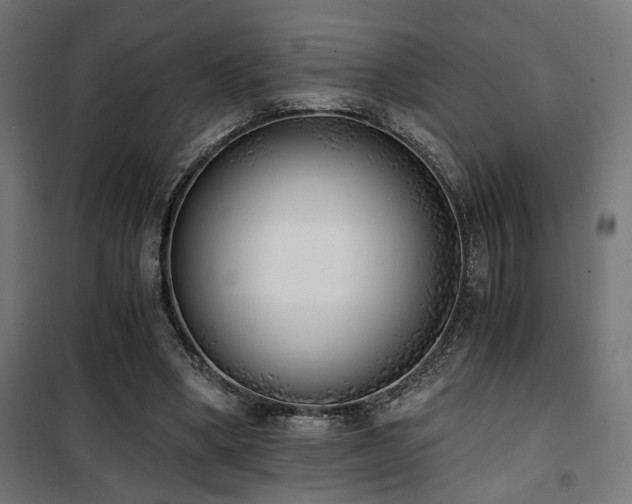 X0000101460394200807071436