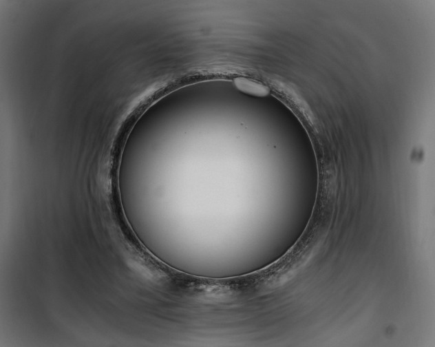 X0000101460395200807071435