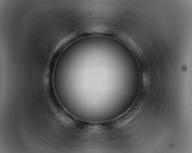 X0000101460396200807071435
