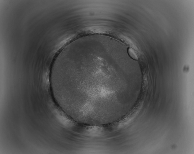 X0000101460398200807071435