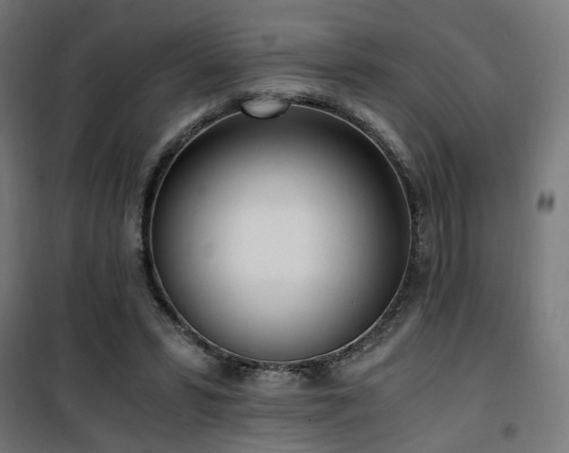 X0000101460399200807071435
