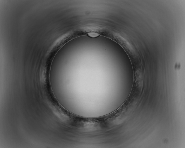 X0000101460400200807071435