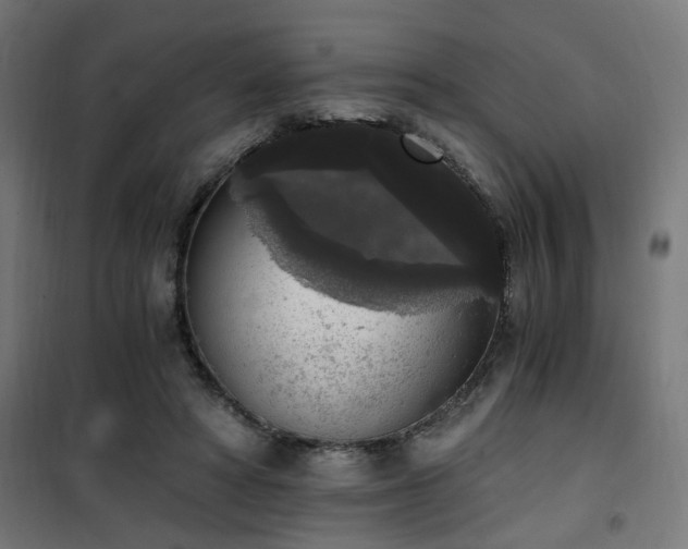 X0000101460402200807071435