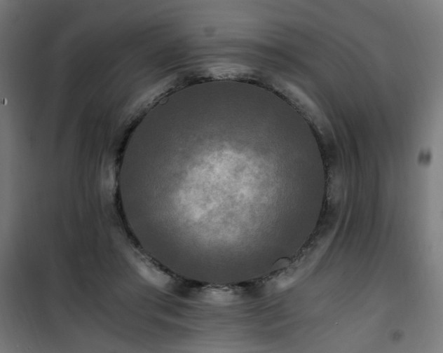 X0000101460405200807071435