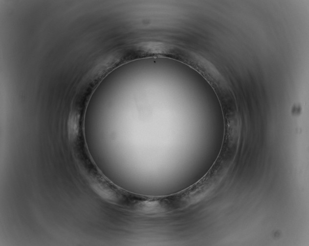 X0000101460406200807071435