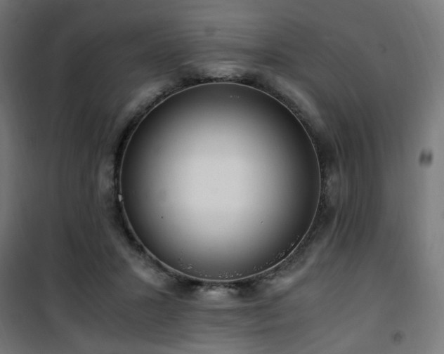 X0000101460407200807071435