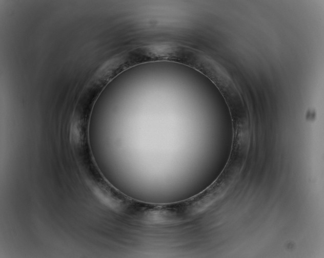 X0000101460408200807071435