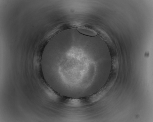 X0000101460409200807071435