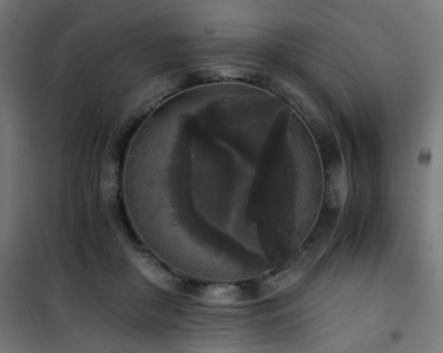 X0000101460410200807071435