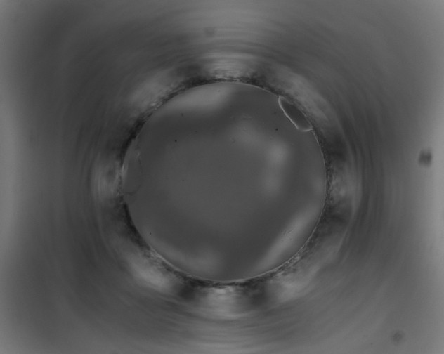 X0000101460411200807071435