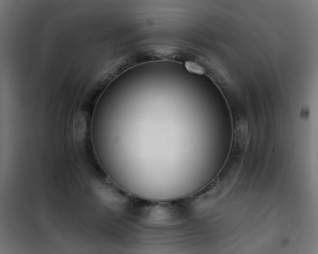 X0000101460412200807071435