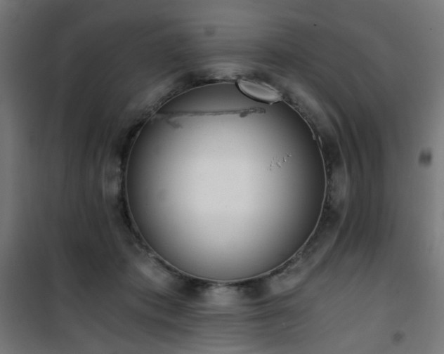 X0000101460413200807071435