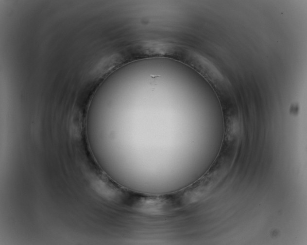 X0000101460414200807071435
