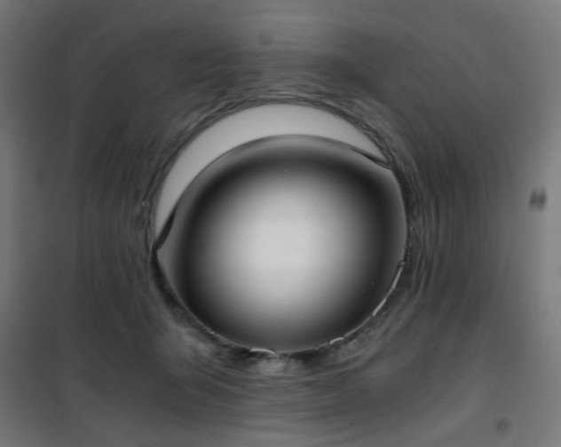 X0000101460415200807071435