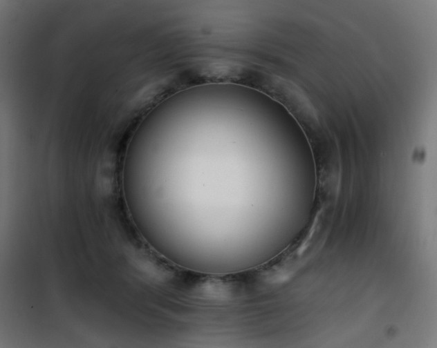X0000101460416200807071435