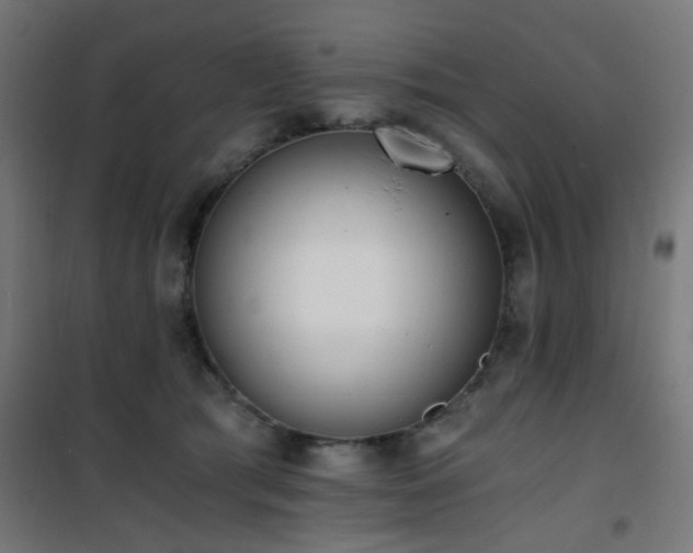 X0000101460417200807071435