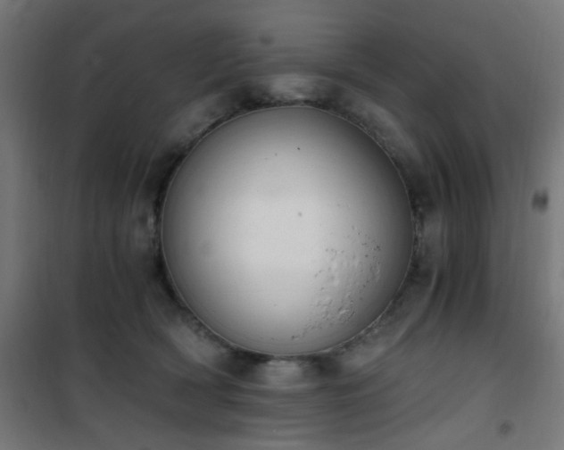 X0000101460418200807071435