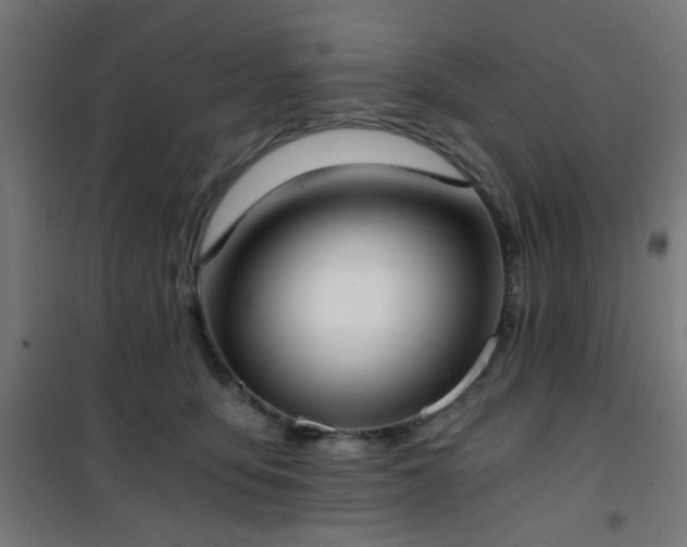 X0000101460419200807071435