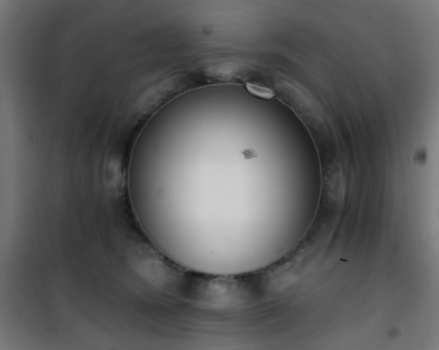 X0000101460420200807071435