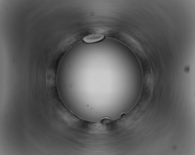 X0000101460421200807071435
