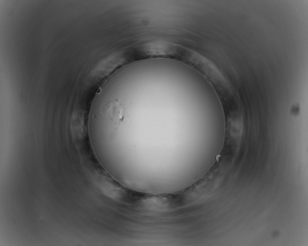 X0000101460422200807071435