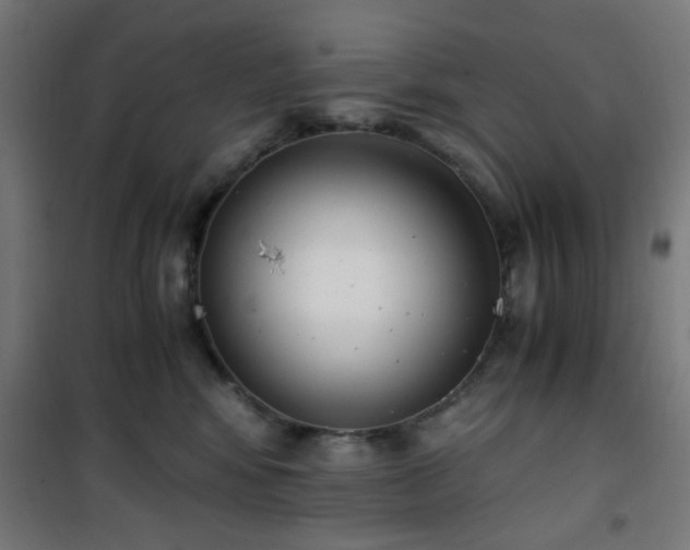 X0000101460424200807071435